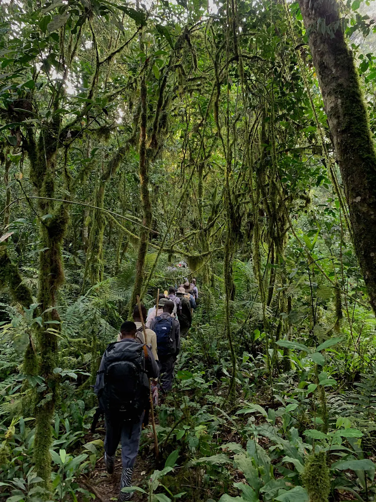 Nat Hab guests, Kibale National Park, Uganda.