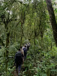 Nat Hab guests, Kibale National Park, Uganda.