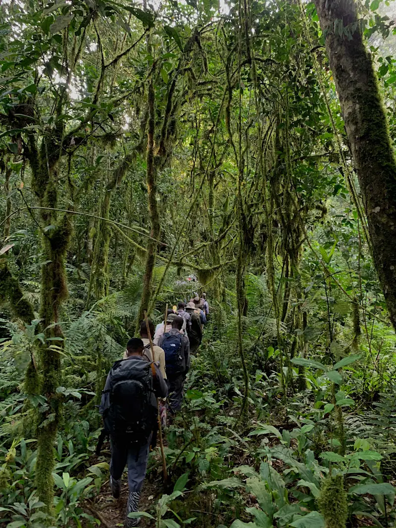 Nat Hab guests, Kibale National Park, Uganda.