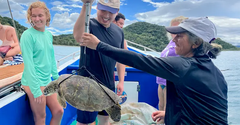 Earthwatch guests weighing a green sea turtle, Playa Grande, Costa Rica.