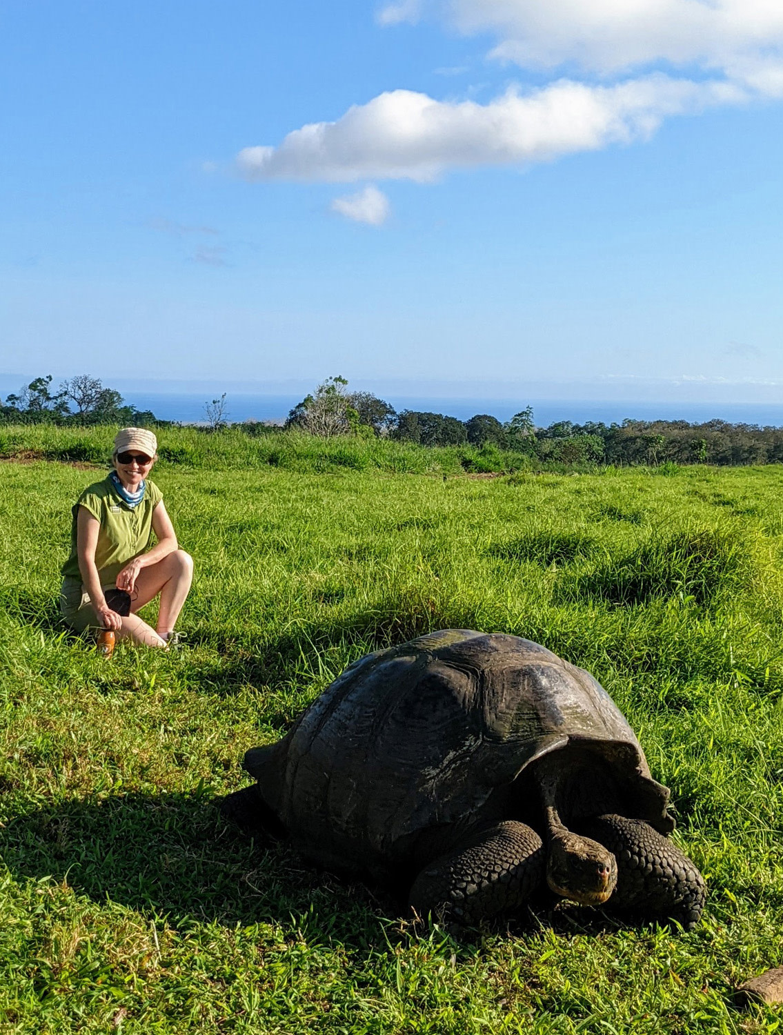 Posing with a giant tortoise on the Galapagos Islands.