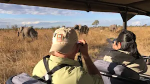 Capturing giants roaming free across Zimbabwe, Africa.
