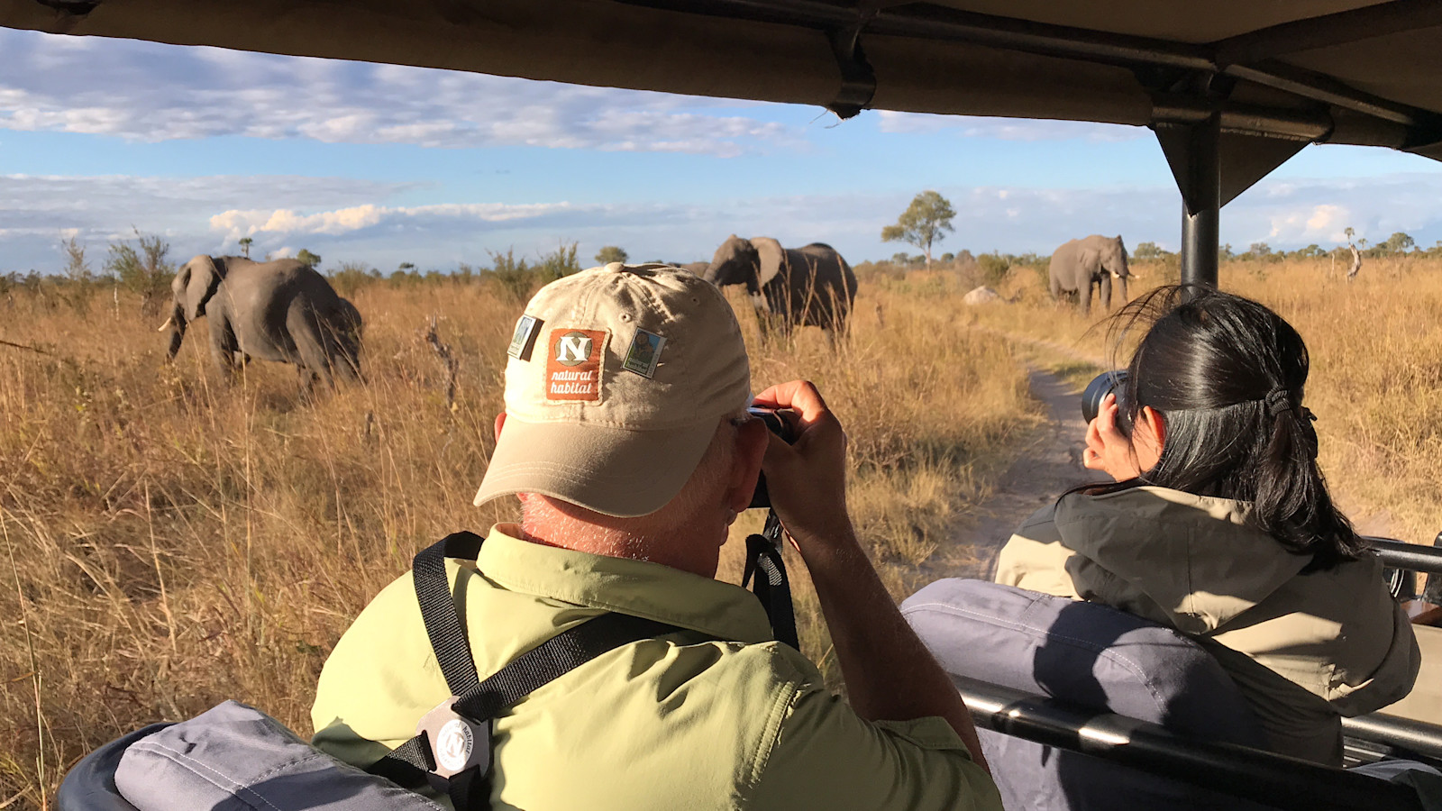 Capturing giants roaming free across Zimbabwe, Africa.