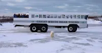 Watching people watching bears in Churchill.