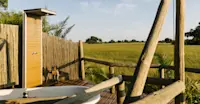 Slideshow Thumbnail 7 of 10