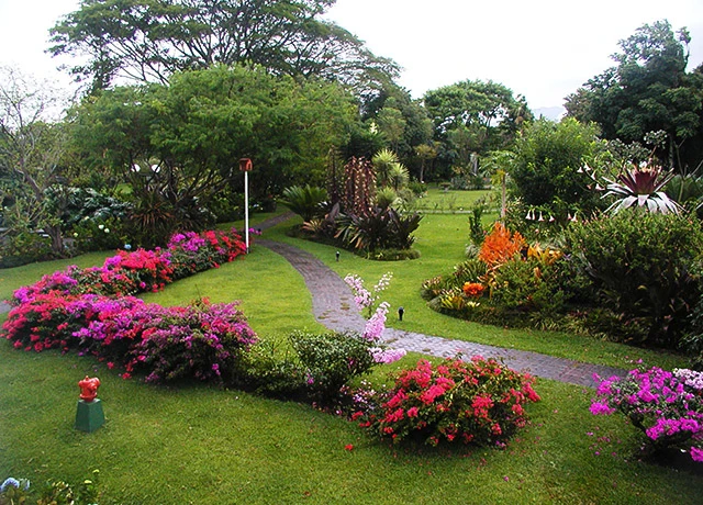 Slideshow Image