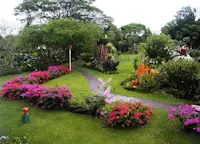 Slideshow Thumbnail 2 of 8