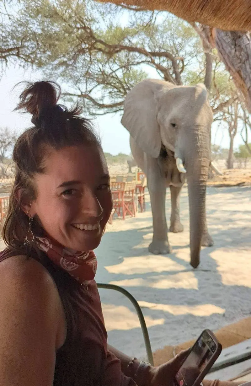 A curious elephant at Nat Hab's Gomoti camp, Botswana. 