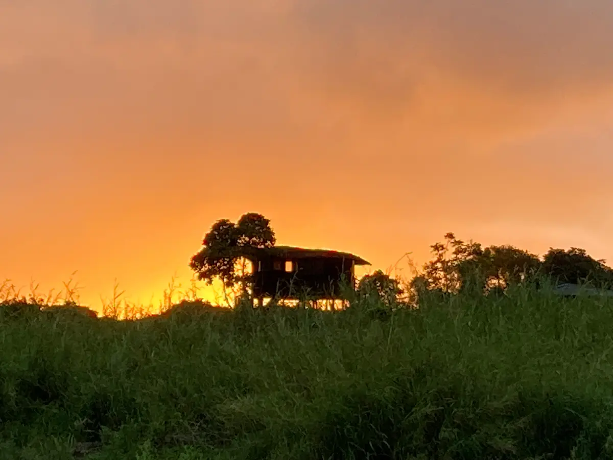 Nat Hab's Tortoise Camp at sunset, one of my favorite places!