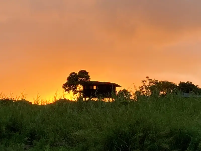 Nat Hab's Tortoise Camp at sunset, one of my favorite places!