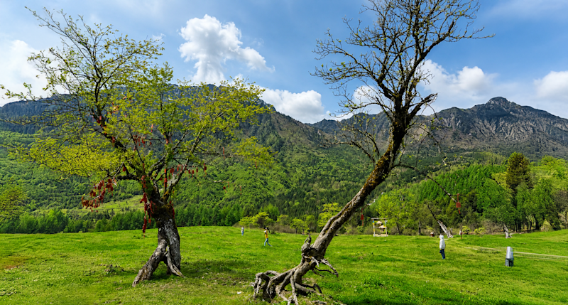 Slideshow Image