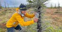 Earthwatch Expeditions guest setting up a camera trap, Churchill, Manitoba, Canada.