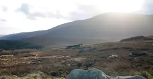 Misty landscape in Wicklow, Ireland.