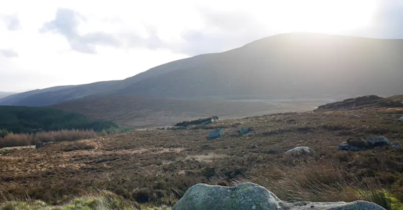 Misty landscape in Wicklow, Ireland.