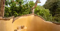 Slideshow Thumbnail 7 of 13