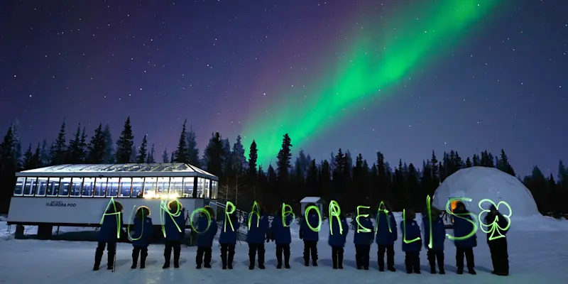 Nat Hab guests and Aurora Borealis