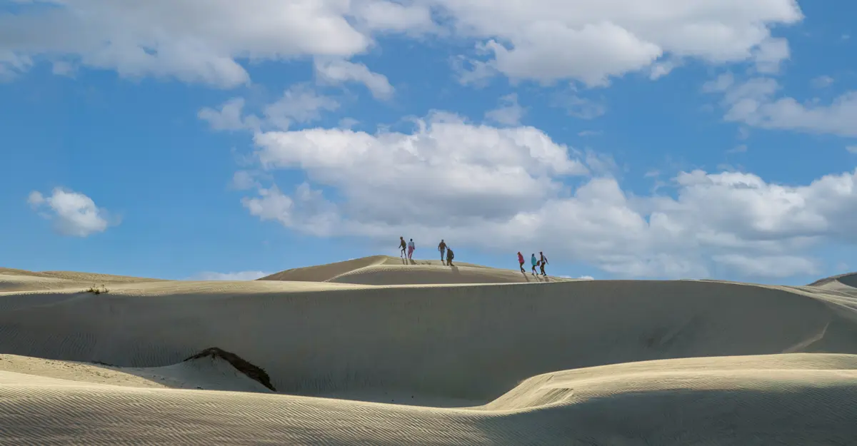 Sand dunes exploration, Baja, Mexico. 