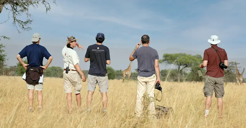 Nat Hab guests on guided bush walk, Private Mara Conservancy, Kenya.
