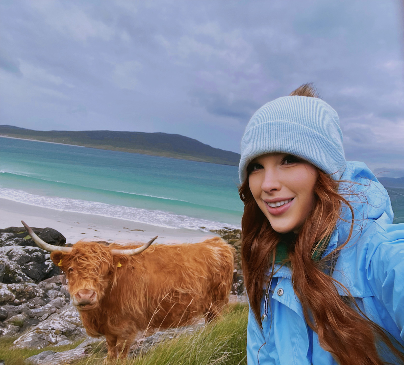 We saw plenty of red Highland cattle, affectionately dubbed Heilan coos in Cotswolds, England.
