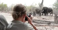 Nat Hab guest and elephants, Okavango Delta, Botswana.
