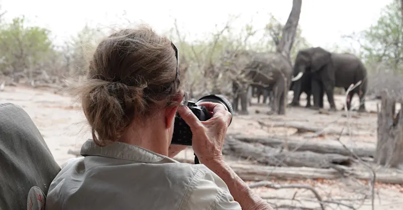 Nat Hab guest and elephants, Okavango Delta, Botswana.