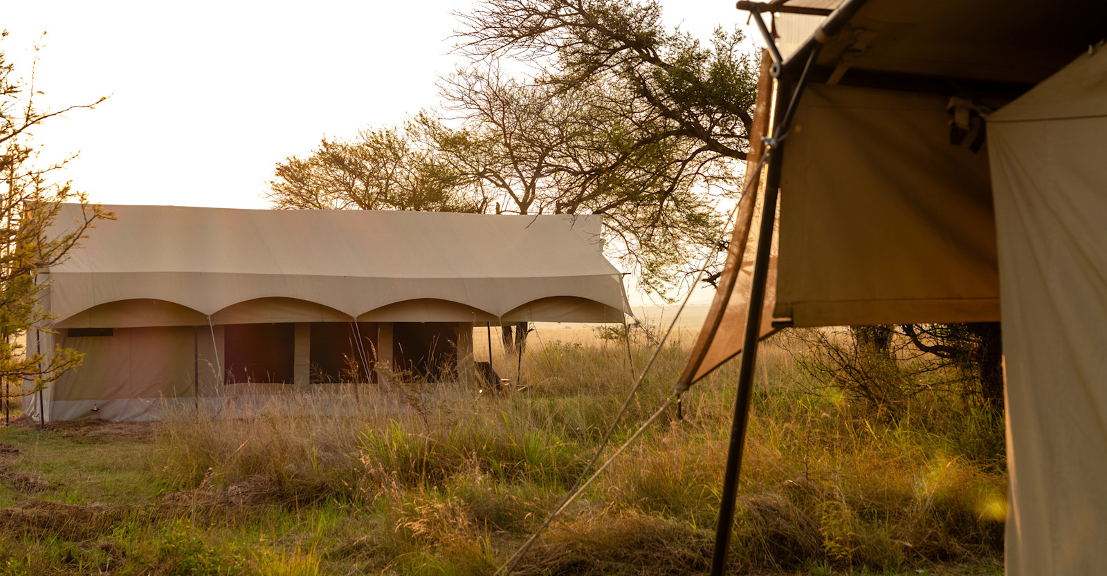 Guest tent