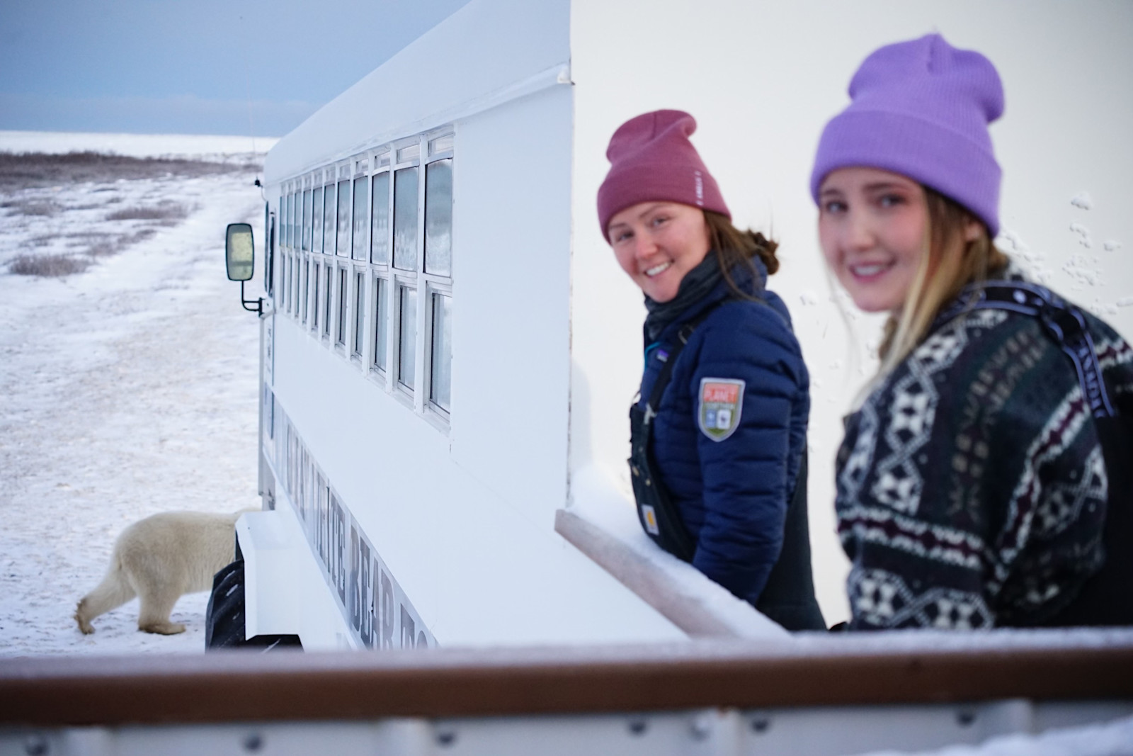 Viewing polar bears on the tundra at our exclusive Tundra Lodge, Churchill.