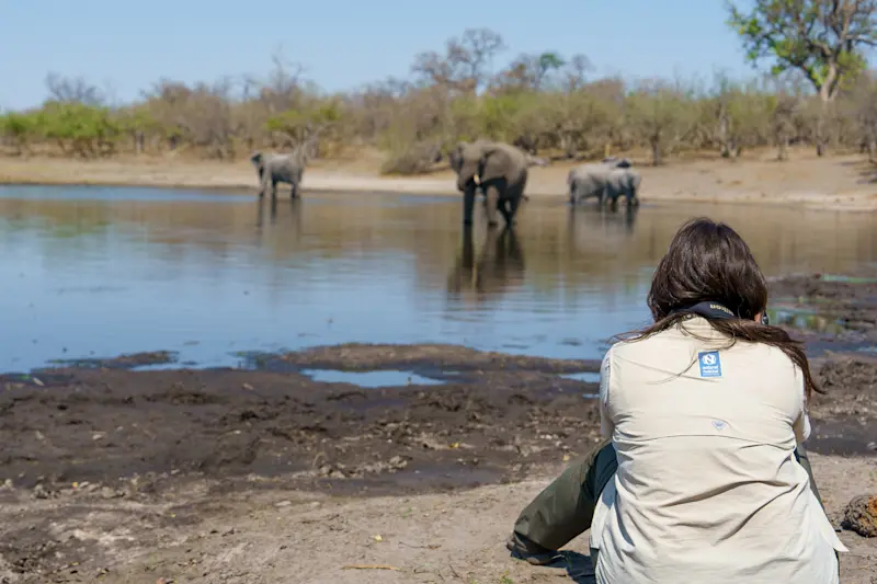 On the ground with elephants in Botswana.