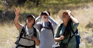 Slideshow Image Thumbnail 6 of 11
