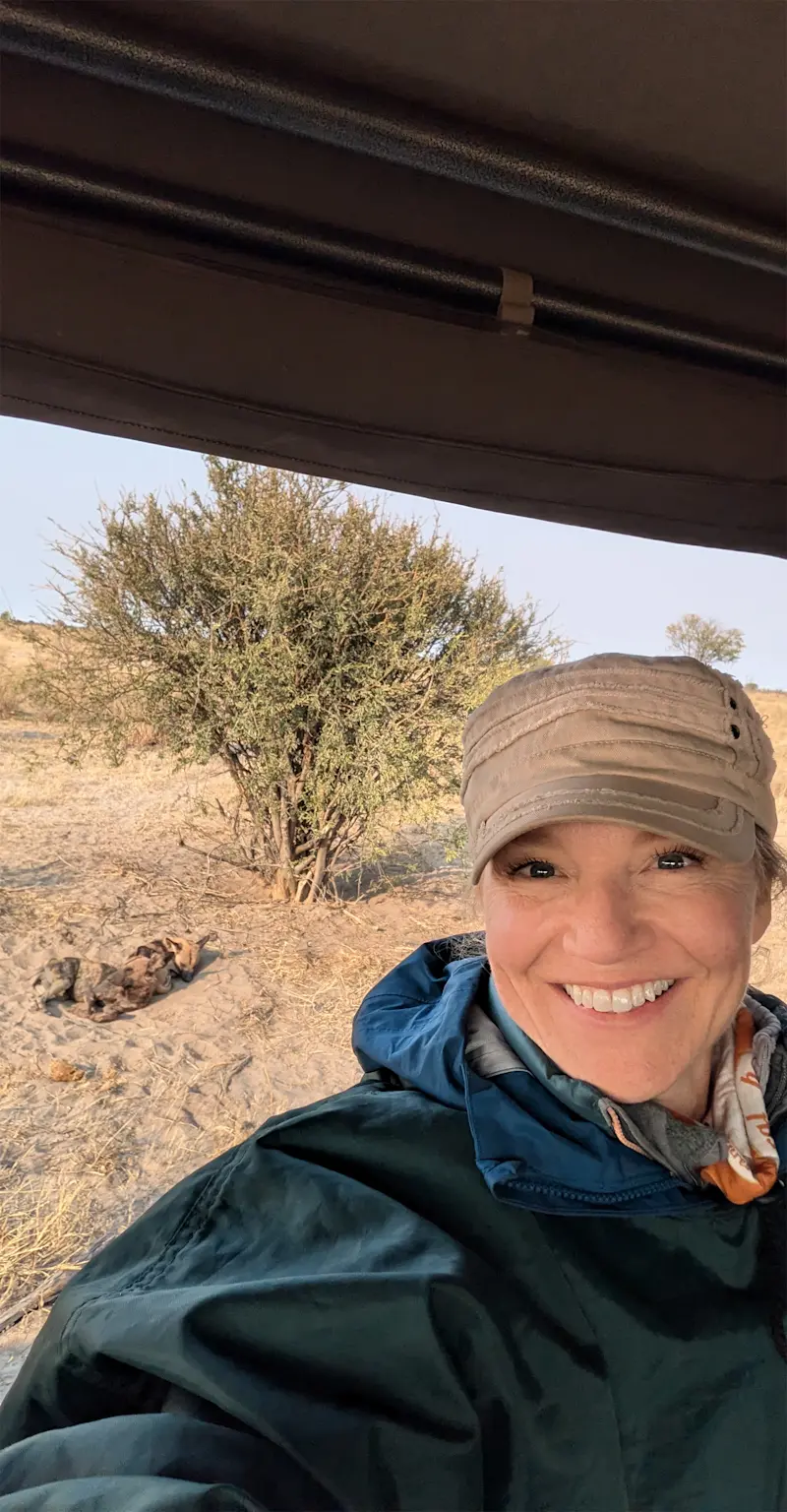 African painted wolf sighting in Botswana.