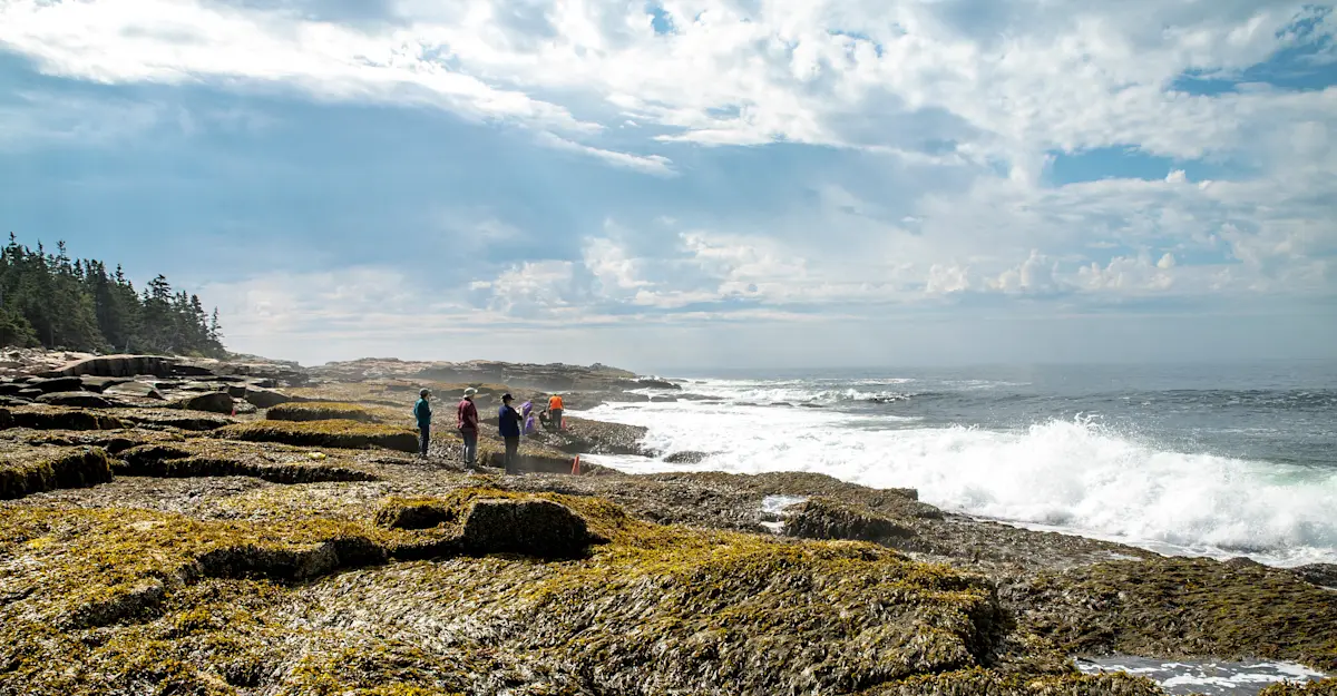 Earthwatch Expeditions guests on the coastline, Acadia National Park, Maine.