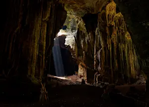 Gomantong Caves, Borneo.