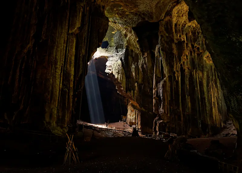 Gomantong Caves, Borneo.