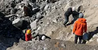 Slideshow Thumbnail 7 of 13