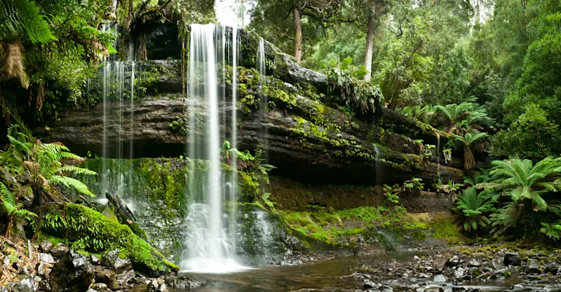 Russell Falls, Mount Field National Park, Tasmania, Australia.