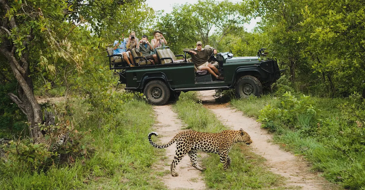 viewing a leopard in South Africa