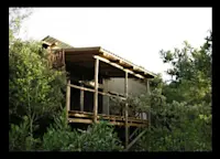 Slideshow Thumbnail 5 of 5