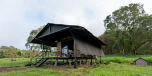Cabin at Nat Hab's Tortoise Camp