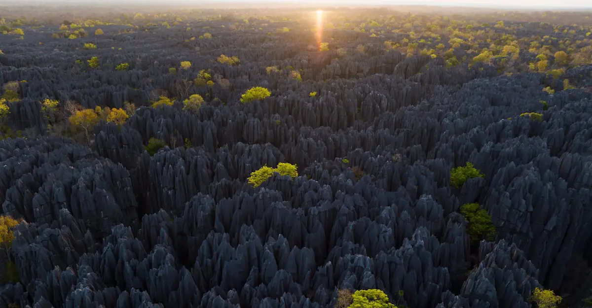 Tsingy De Bemaraha National Park, "Forest of Knives," Madagascar.