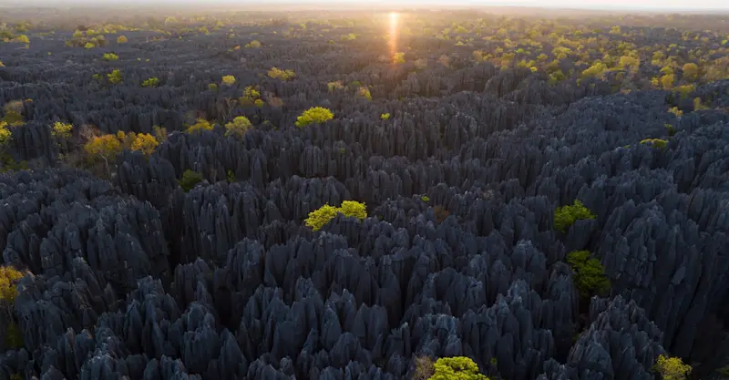 Tsingy De Bemaraha National Park, "Forest of Knives," Madagascar.
