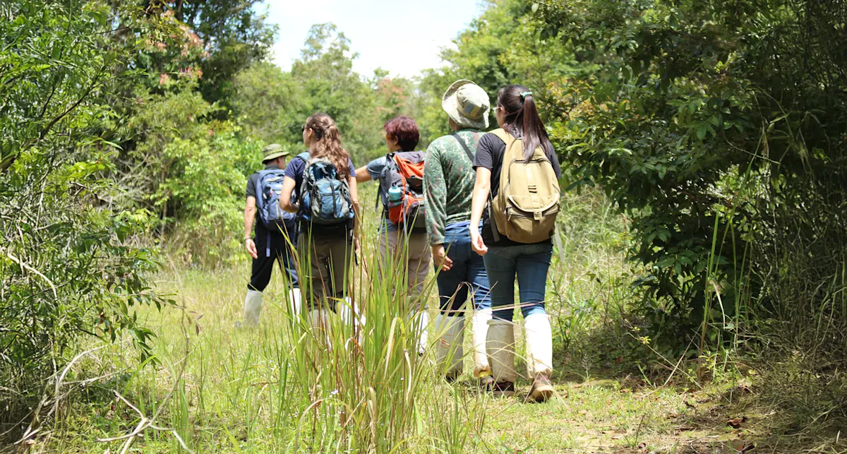 Hiking a land transect to retrieve camera traps for a study on dhole, wild dogs of Thailand with Earthwatch.