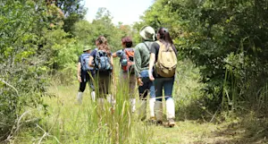 Hiking a land transect to retrieve camera traps for a study on dhole, wild dogs of Thailand with Earthwatch.