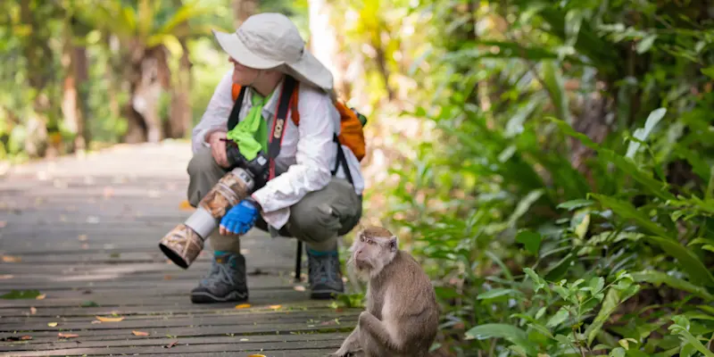 Nat Hab guest and long-tailed macaque, Bako National Park, Borneo.