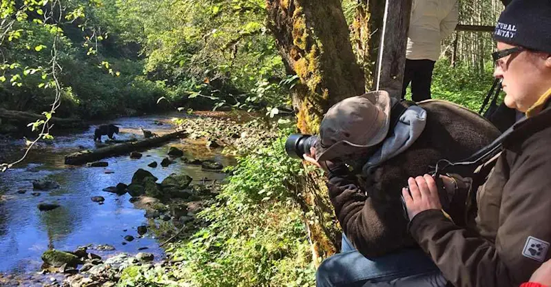 Nat Hab guests and black bear, Great Bear Rainforest, British Columbia.