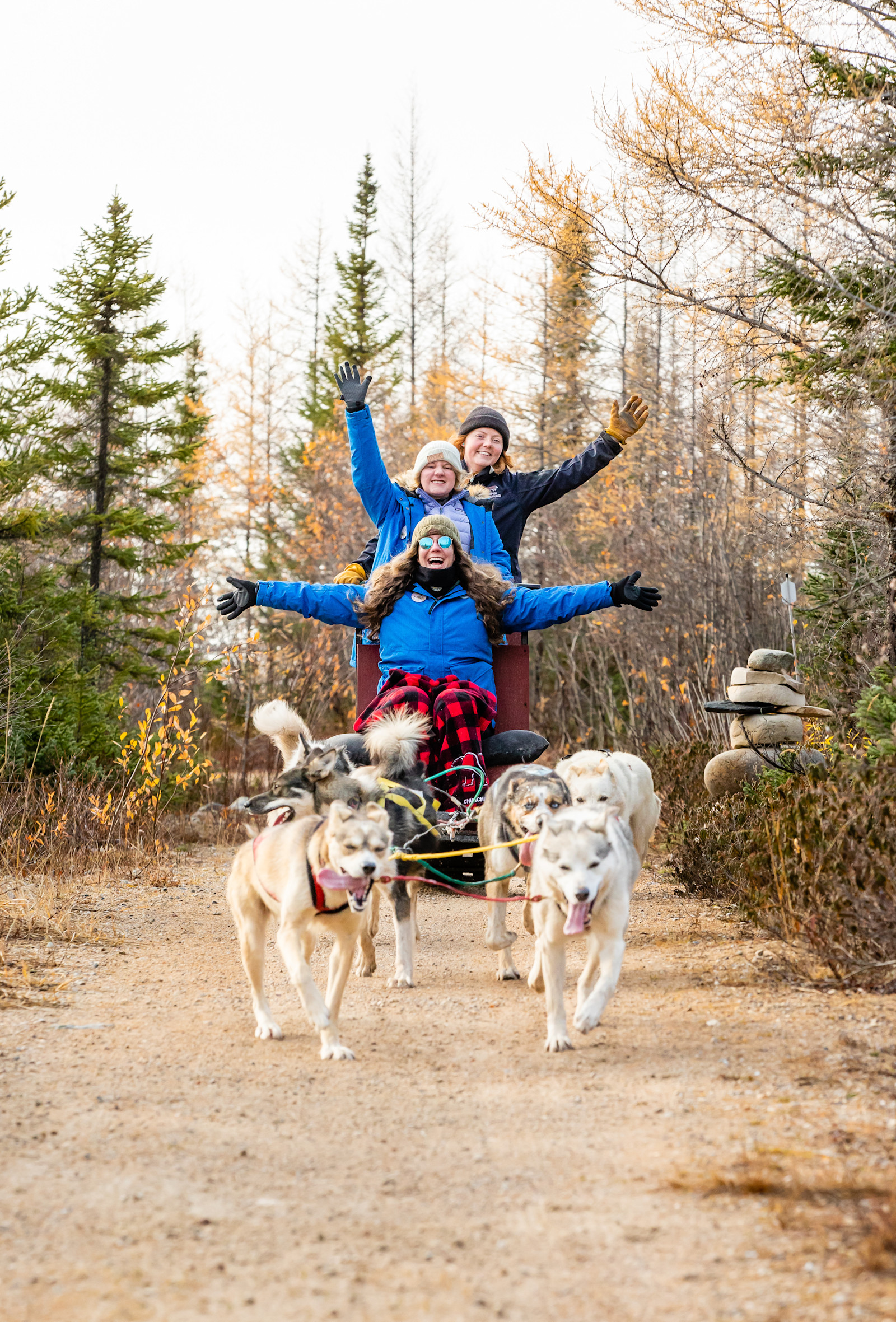 Dog sledding with Wapusk Adventures in Churchill, Canada.
