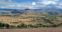 Vineyard, Douro Valley, Portugal.