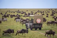 Safari drive, Okavango Delta, Botswana.