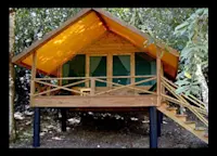 Slideshow Thumbnail 2 of 4