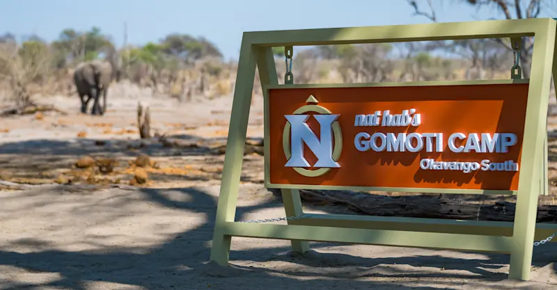 African elephant at Nat Hab's Gomoti Camp - Okavango South, Okavango Delta, Botswana.