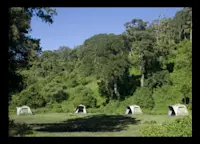 Slideshow Thumbnail 1 of 7
